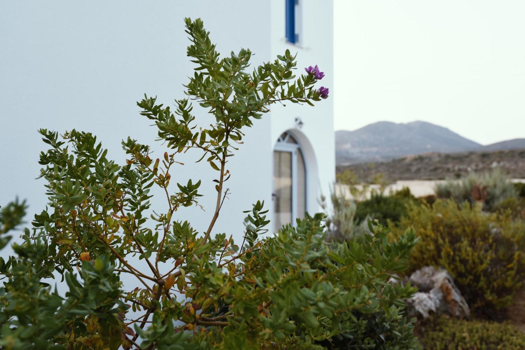 Aparthotel Anemes Avlemonas Esterno foto