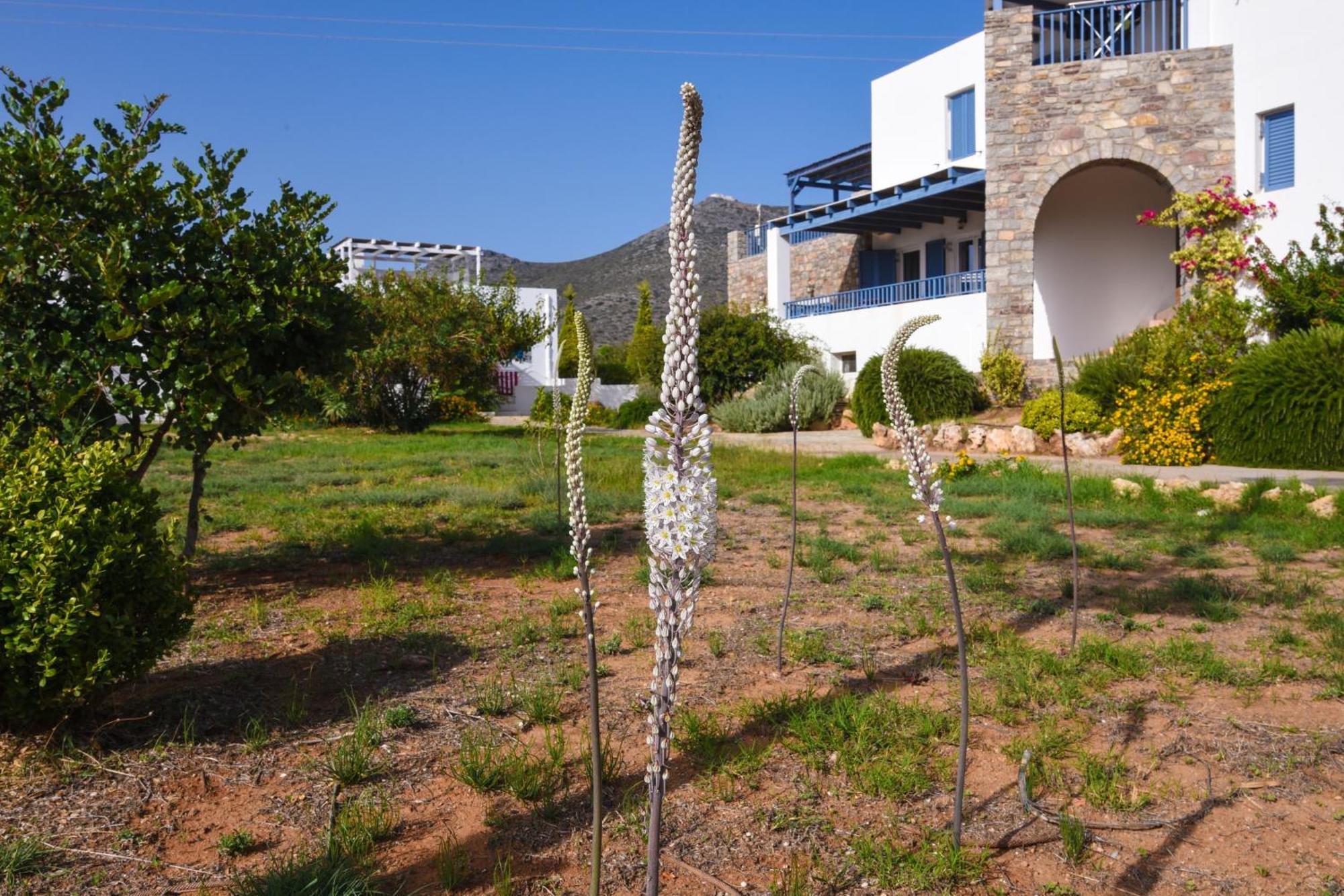 Aparthotel Anemes Avlemonas Esterno foto